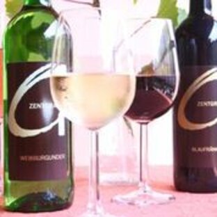 Rabold_BF_WB_Glaeser