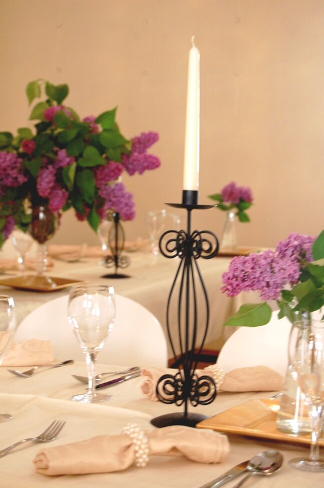 Zentgraf_2011-02-24_4